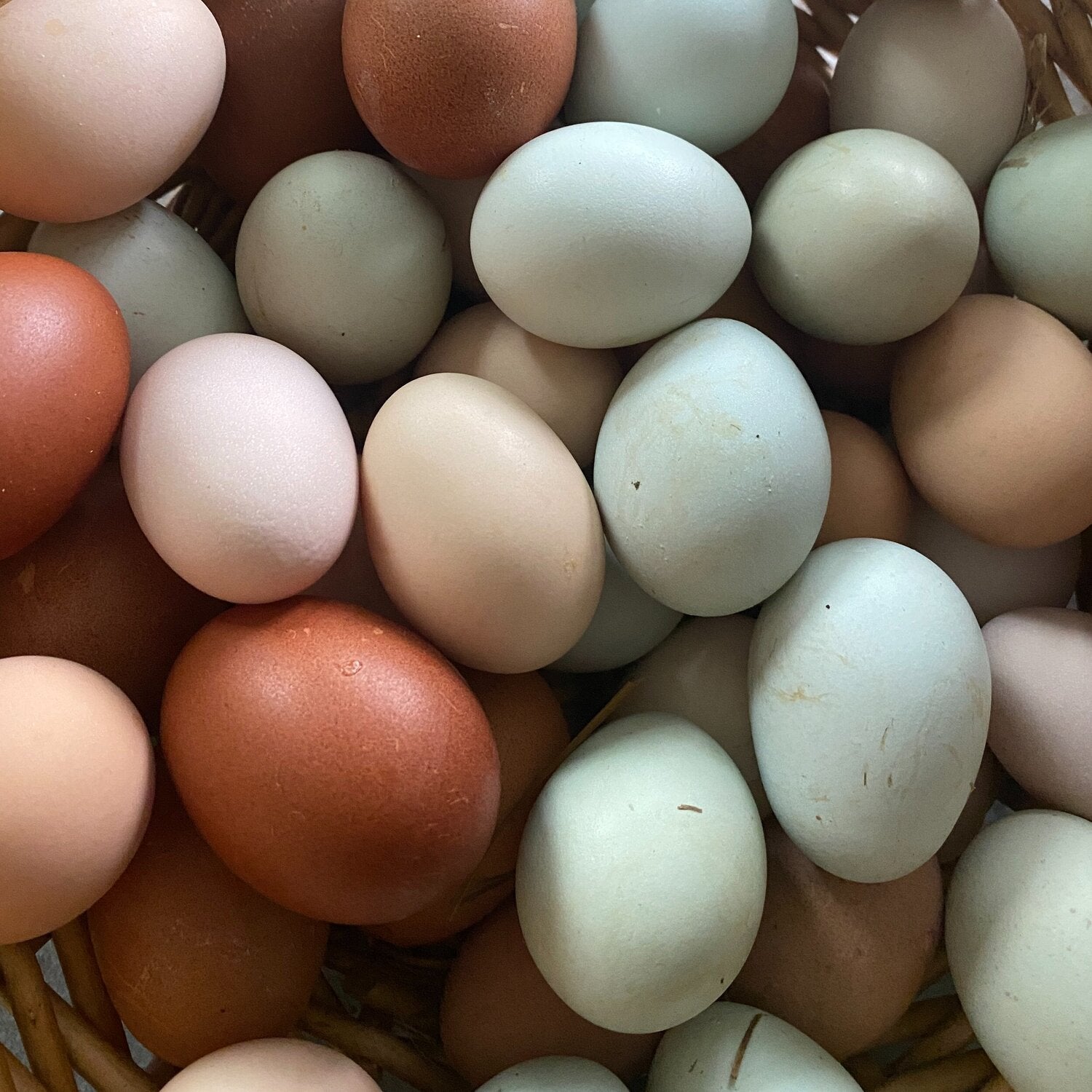 Eggs