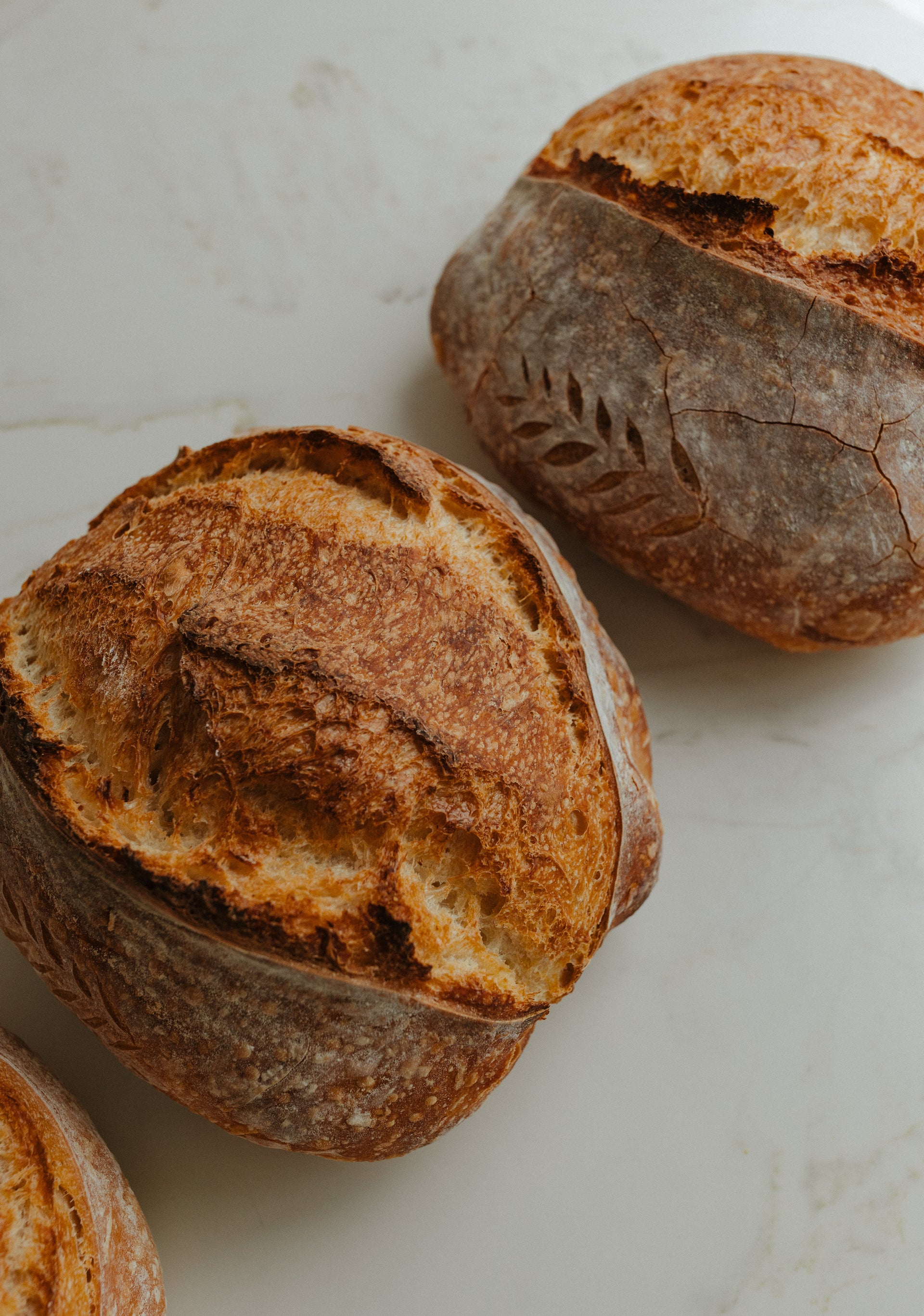 Organic Artisan Sourdough Loaf