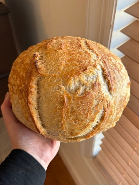 Organic Artisinal Sourdough Loaf