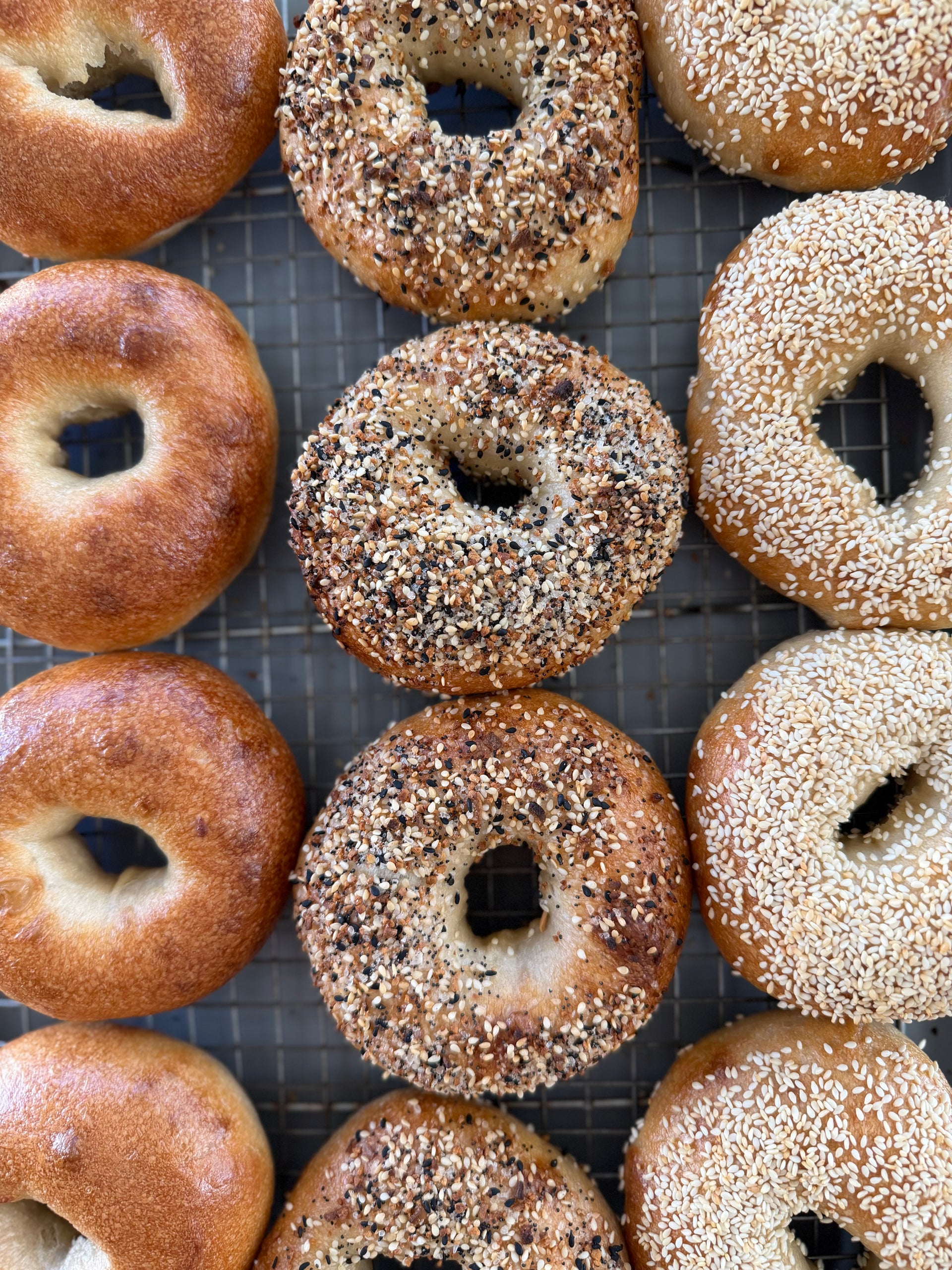 Sourdough Bagels - Variety