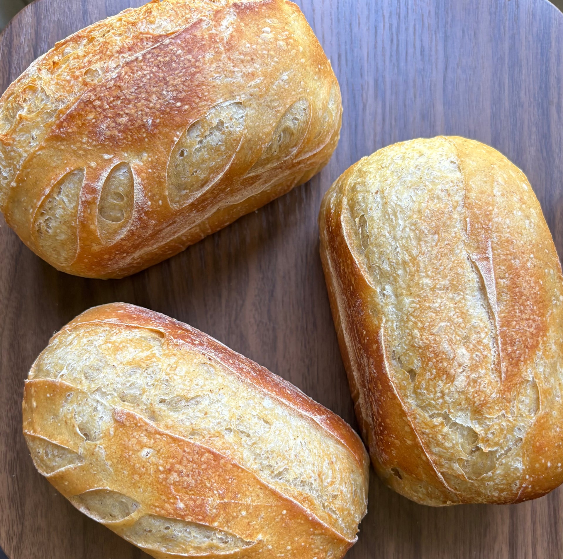 Organic Mini Sourdough Loaf