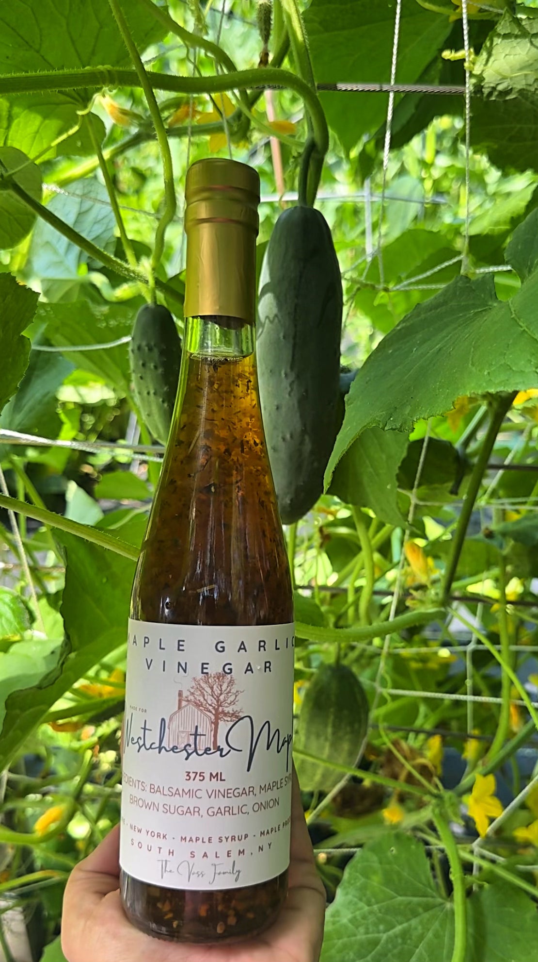 Maple Garlic Vinegar