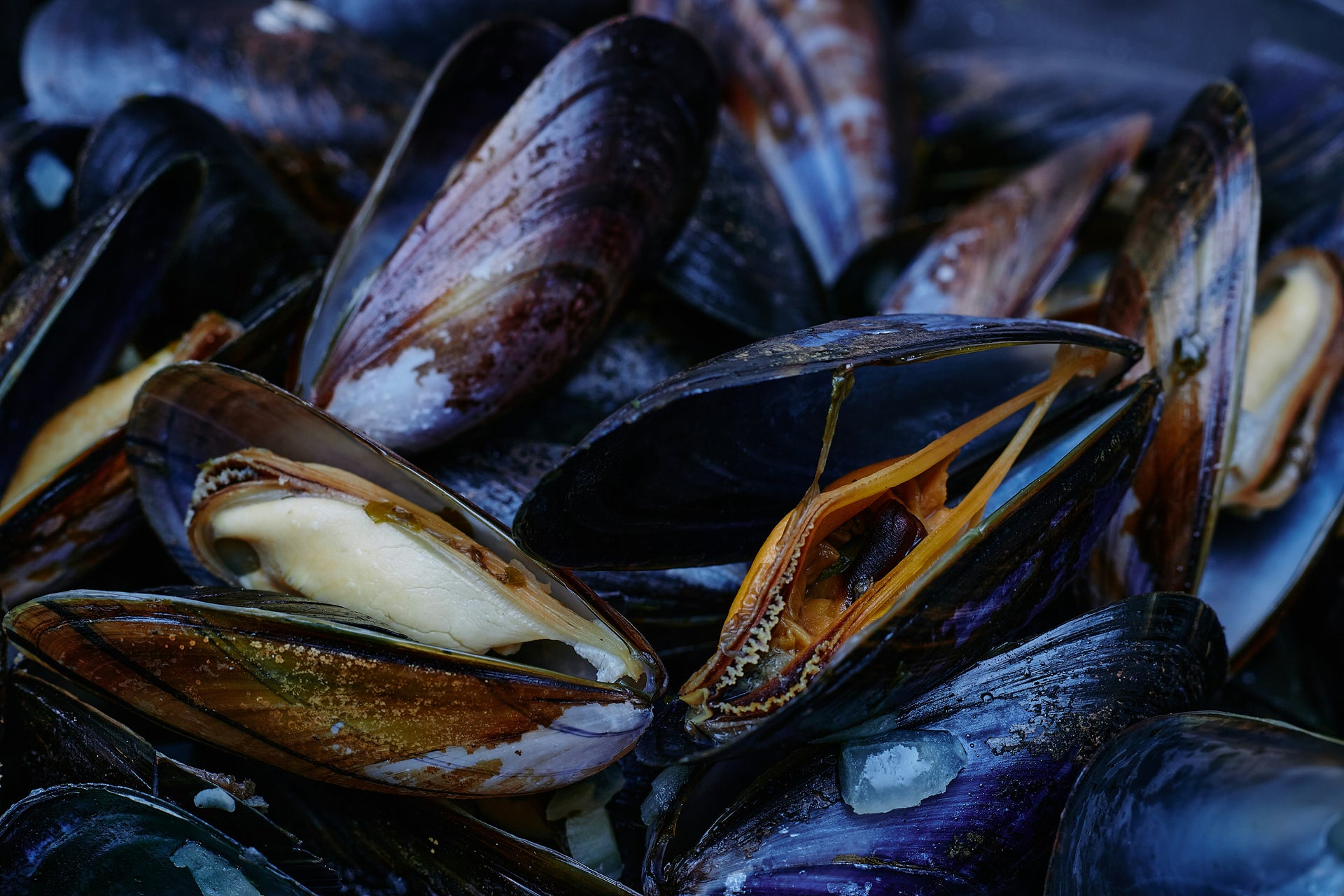 Fresh Shellfish (By Pound)