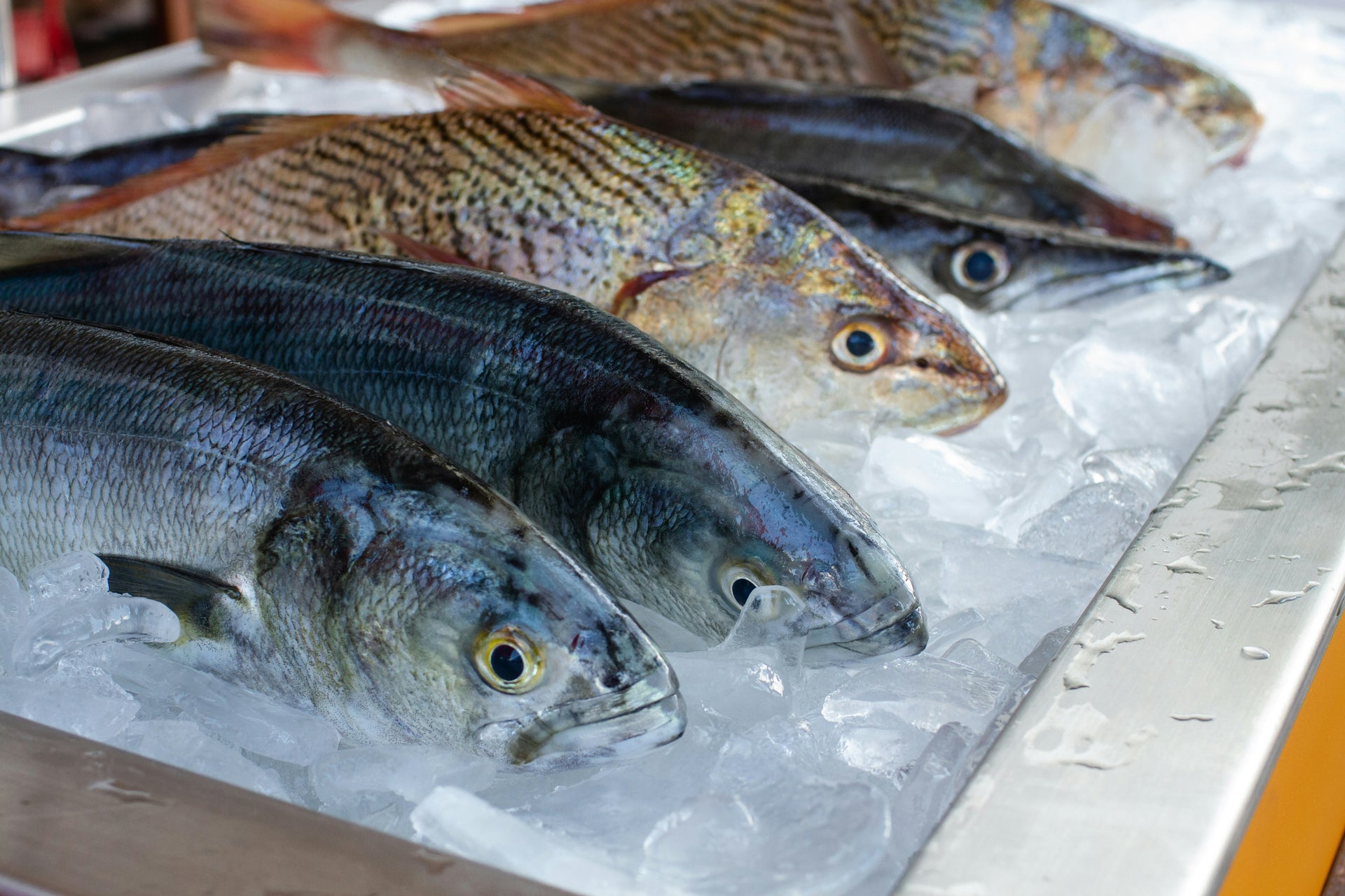 Fresh Fish Whole (By The Pound)