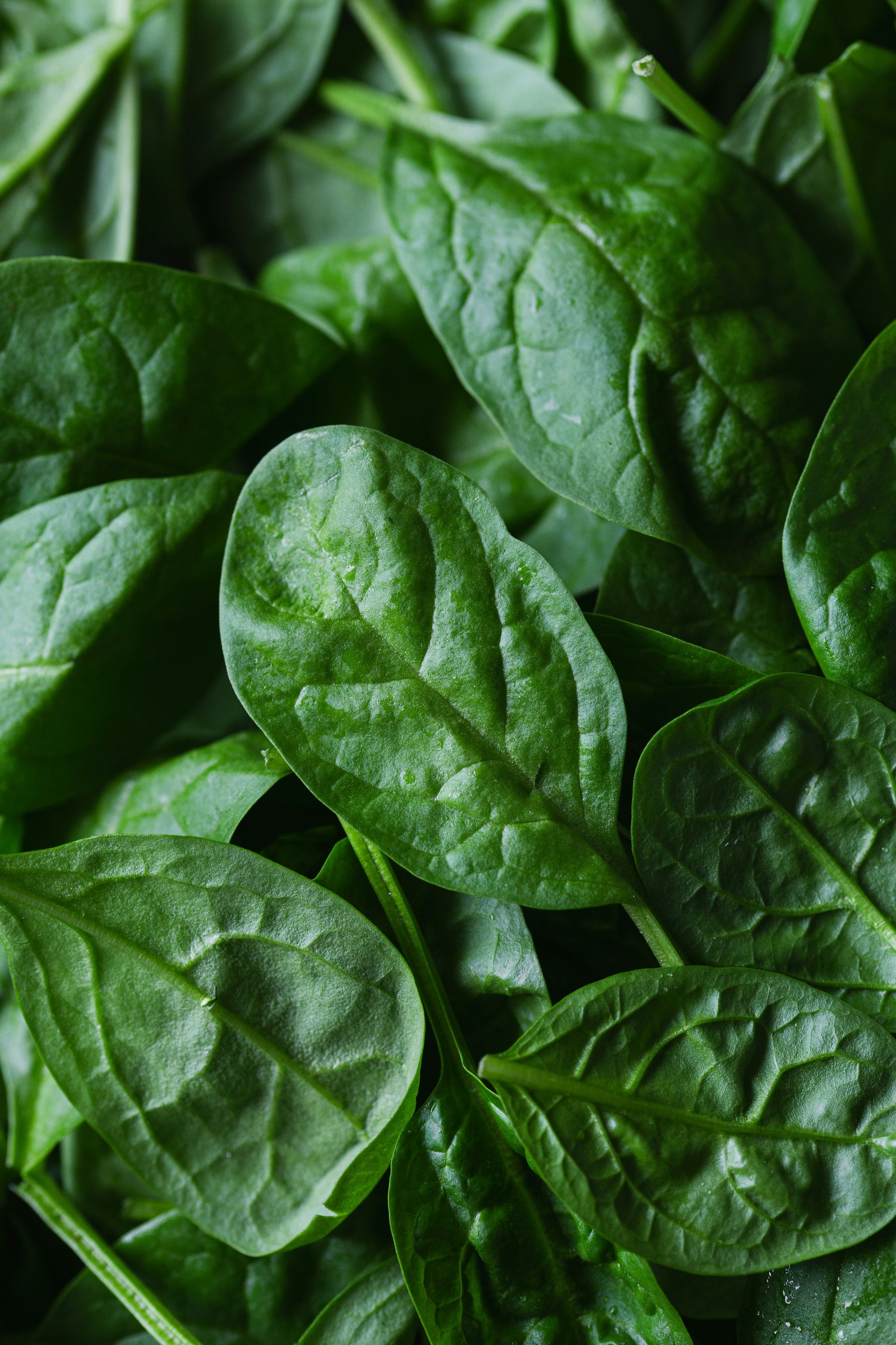 Spinach