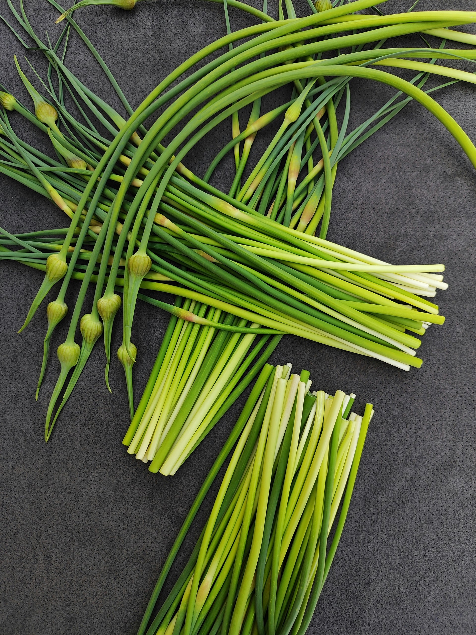 Garlic Scapes