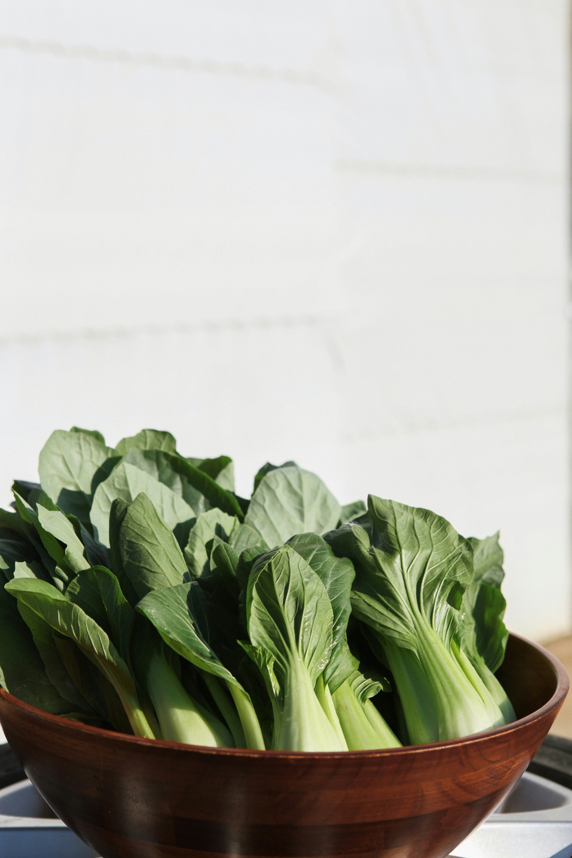 Bok Choy