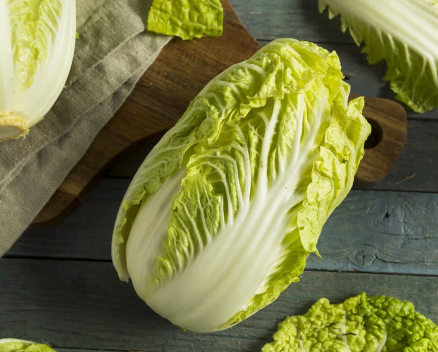 Napa Cabbage