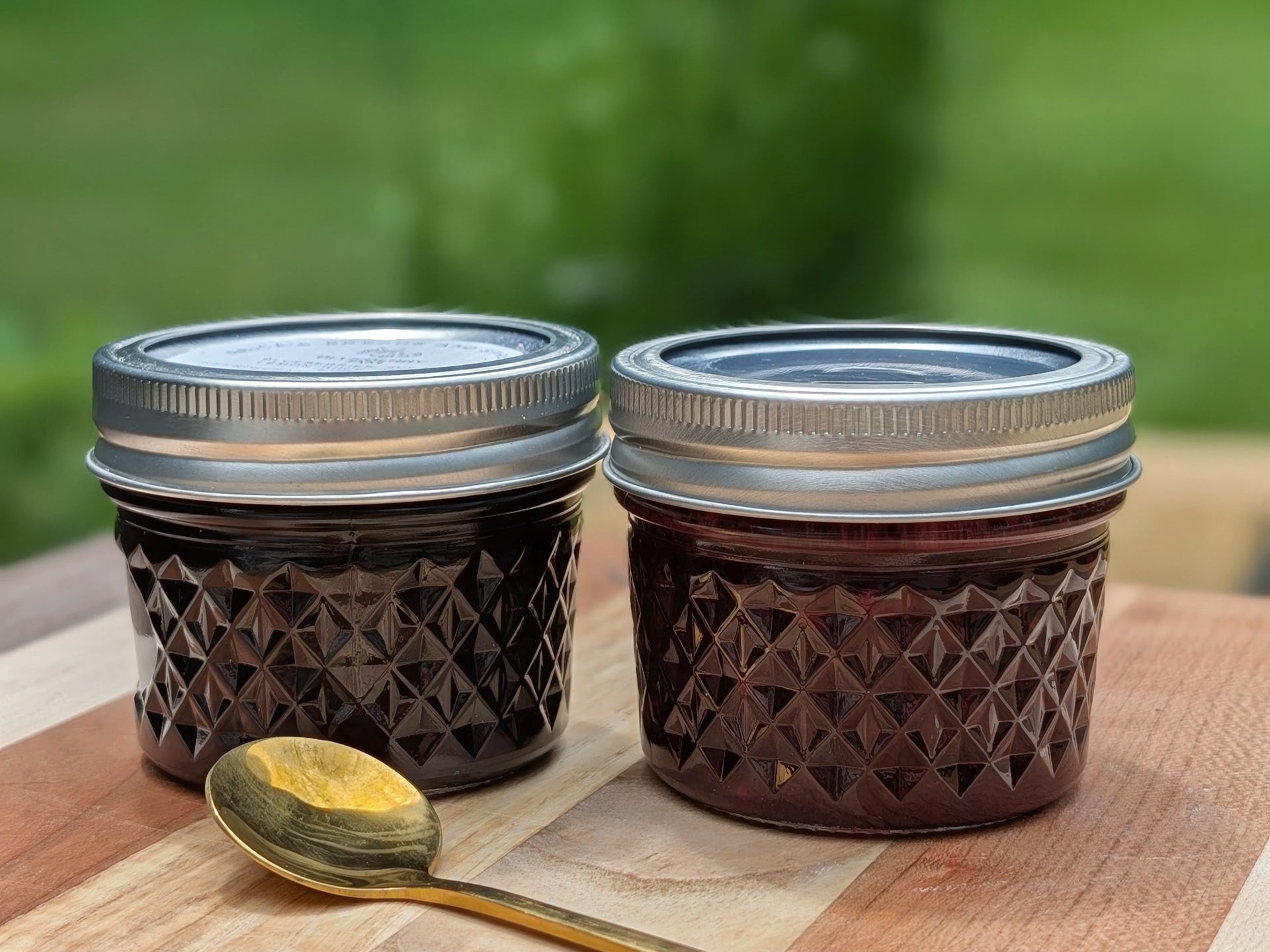 Jam Bundle - Blueberry & Cherry Orange Marmalade