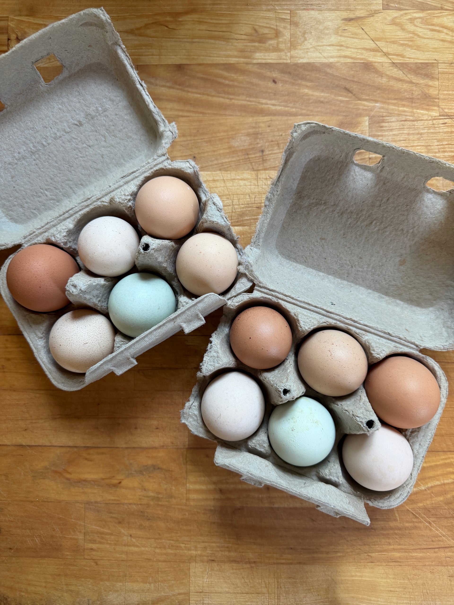 Half Dozen Chicken Egg’s
