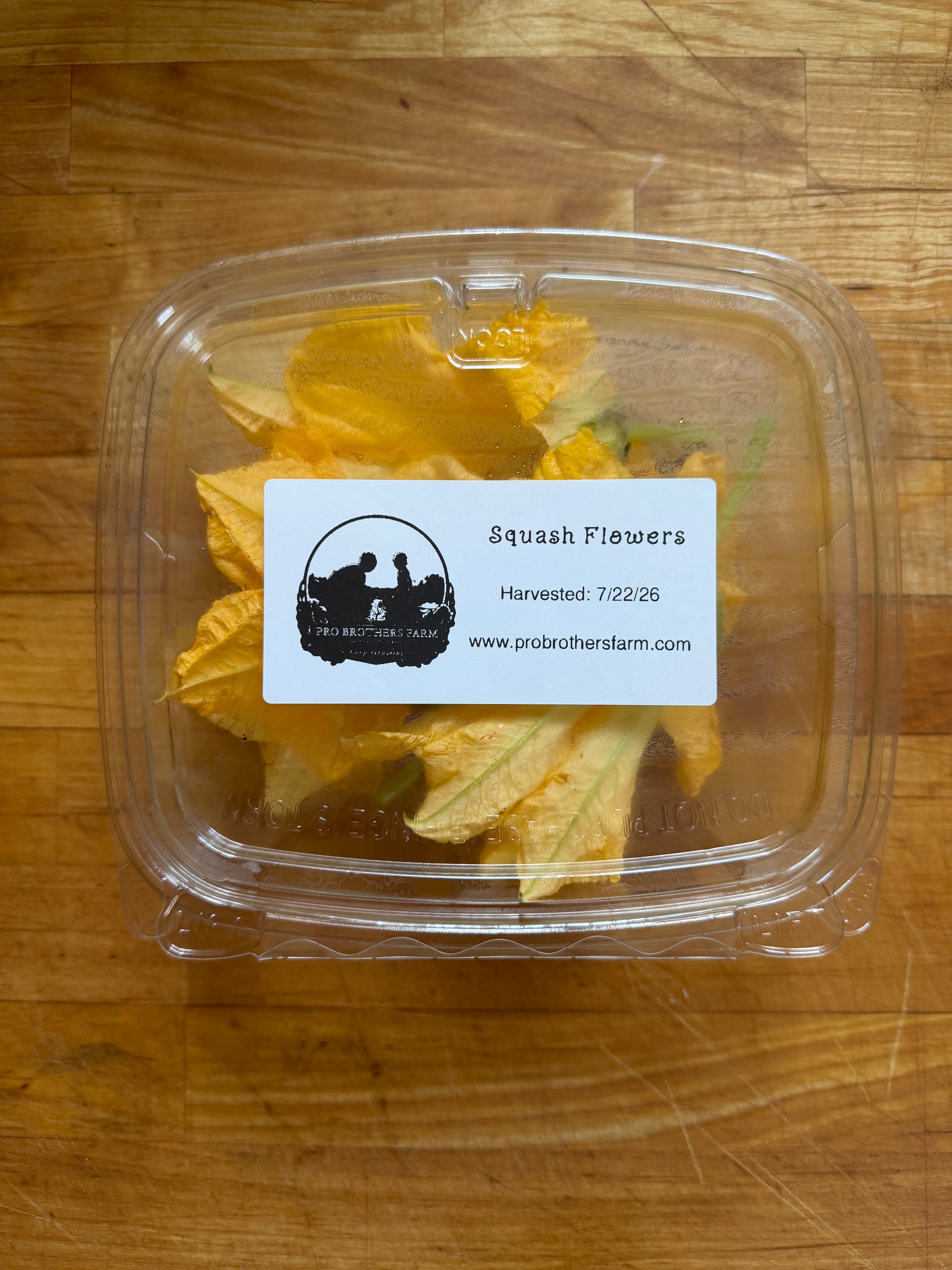 Squash Flowers