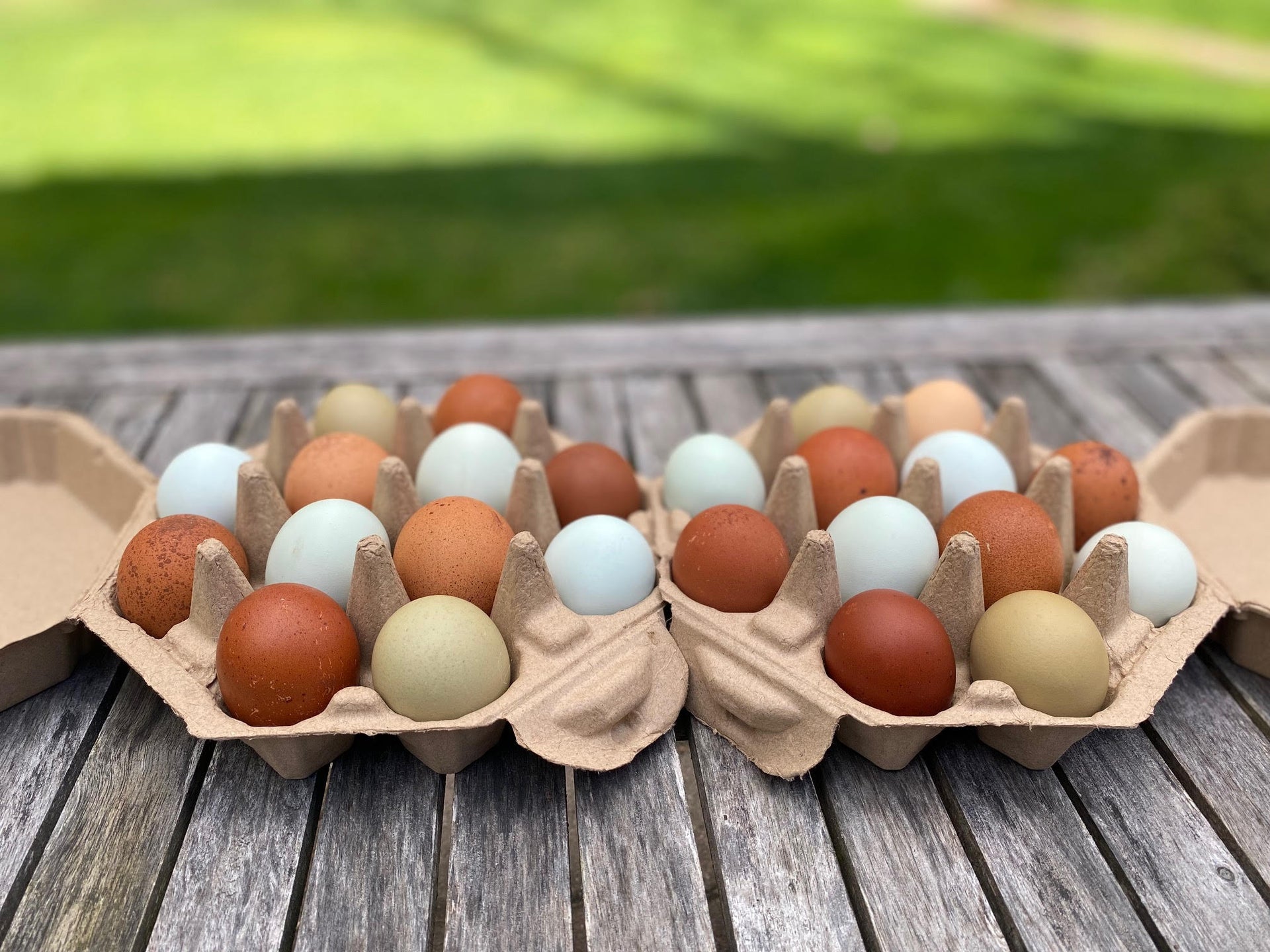 Chicken Eggs from The Ferguson Farm